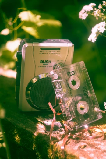 a cassette sitting on top of a rock next to a camera, inspired by Elsa Bleda, unsplash, kitsch movement, bushes, dials, lush jungle, 2000s photo