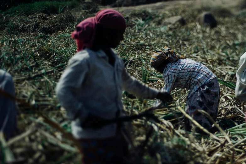 a group of people working in a field, unsplash, hurufiyya, avatar image, cinematic detail, high resolution photo, thumbnail