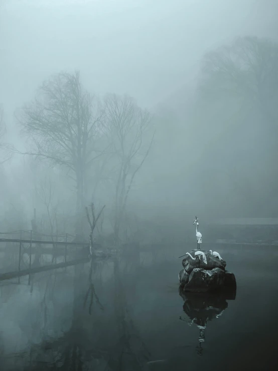 a boat floating on top of a body of water, inspired by Elsa Bleda, pexels contest winner, romanticism, foggy dark graveyard, swans, tarkovsky, sitting at a pond