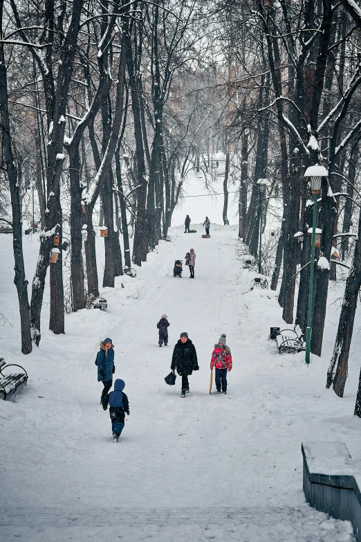 a group of people walking down a snow covered path, neo kyiv, kids playing, lush surroundings, square