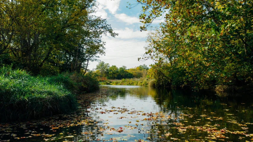 a river running through a lush green forest, an album cover, inspired by Alfred Thompson Bricher, unsplash, river stour in canterbury, fall season, a photo of a lake on a sunny day, urban surroundings