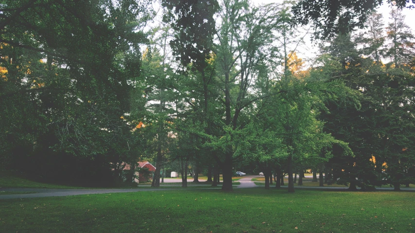 a park filled with lots of green grass and trees, a picture, unsplash, realism, slight haze, camp, 90s photo, small town