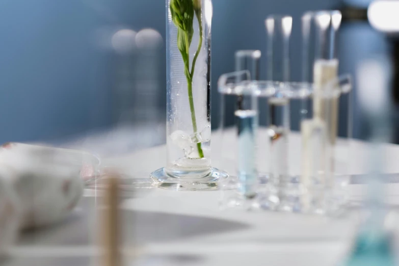 a vase filled with flowers sitting on top of a table, scientific glassware, detail shot, very award - winning, white table