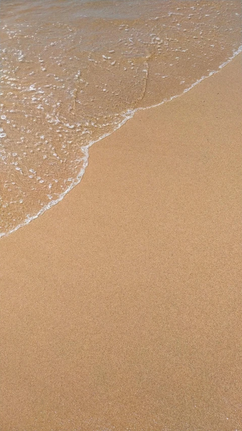 a bird standing on top of a beach next to the ocean, on the sand, birdseye view, rippling liquid, tan complexion