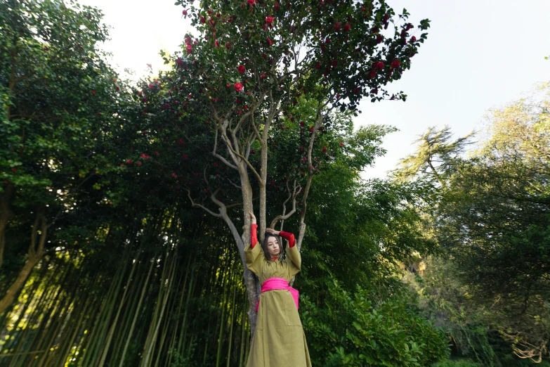 a woman in a green dress standing next to a tree, an album cover, inspired by Cecil Beaton, unsplash, magic realism, wearing fuchsia silk robe, himeji rivendell garden of eden, marina abramovic, on stilts