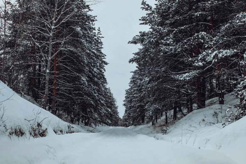 a man riding skis down a snow covered slope, an album cover, pexels contest winner, hurufiyya, road in a forest road, thumbnail, grey, scary pines