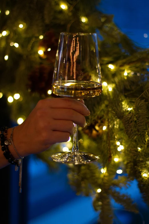 a person holding a wine glass in front of a christmas tree, profile image, large)}], evening time, environmental shot