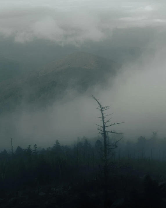 a black and white photo of a foggy forest, an album cover, inspired by Elsa Bleda, pexels contest winner, destroyed mountains, green smoggy sky, gloomy colors, overlooking a valley