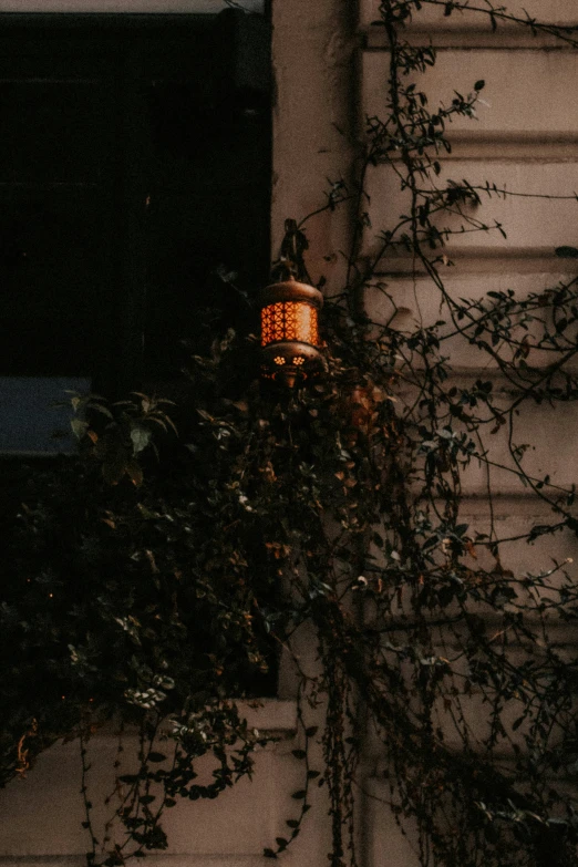 a fire hydrant sitting on the side of a building, a picture, inspired by Elsa Bleda, pexels contest winner, warm lantern lighting, covered in flame porcelain vine, late summer evening, sconces