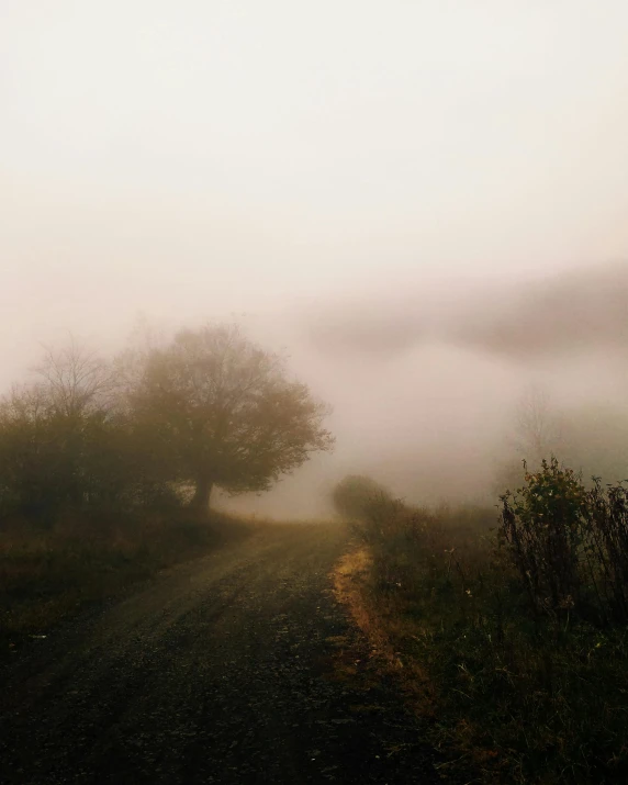 a dirt road in the middle of a foggy field, an album cover, inspired by Elsa Bleda, pexels contest winner, romanticism, leaked image, muted fall colors, slightly pixelated, multiple stories