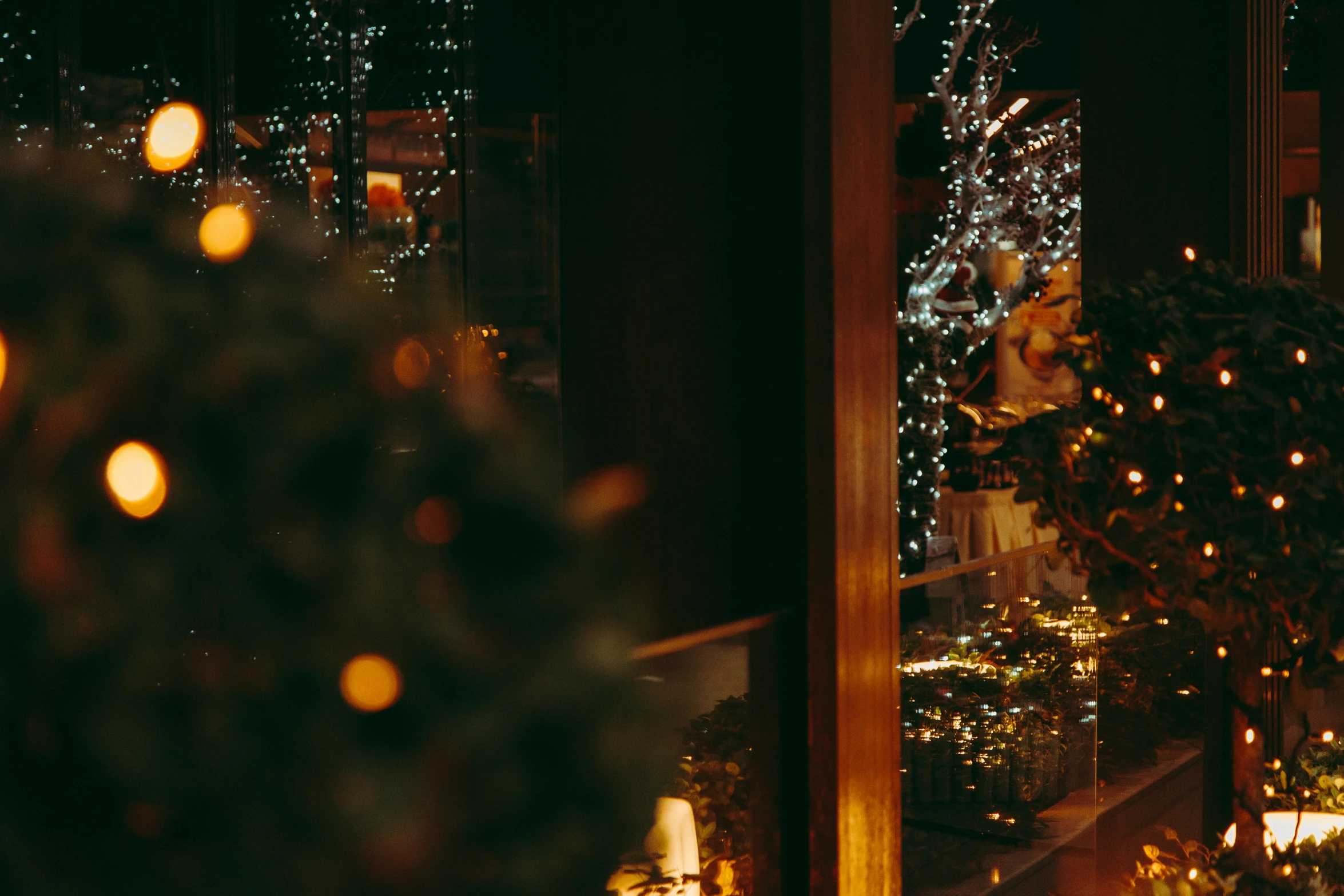 a view of a christmas tree through a window, pexels contest winner, happening, candlelit restaurant table, background image, profile image, standing in a dimly lit room