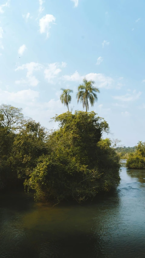 a river running through a lush green forest, hurufiyya, nile river environment, taken with kodak portra, tropical, an overgrown