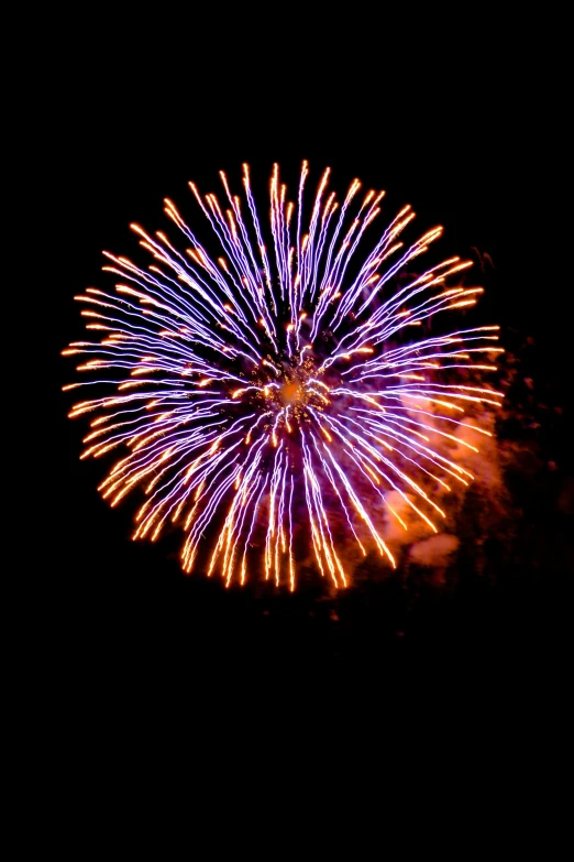 a firework is lit up in the night sky, cool purple slate blue lighting, 2 5 6 x 2 5 6 pixels, round-cropped, breath taking