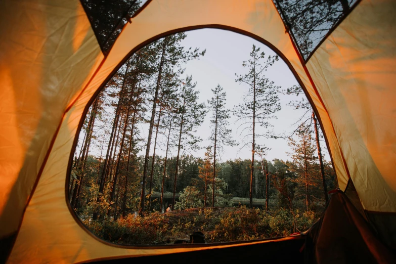 a view of a forest from inside a tent, golden glow, instagram post, exterior shot, 000 — википедия