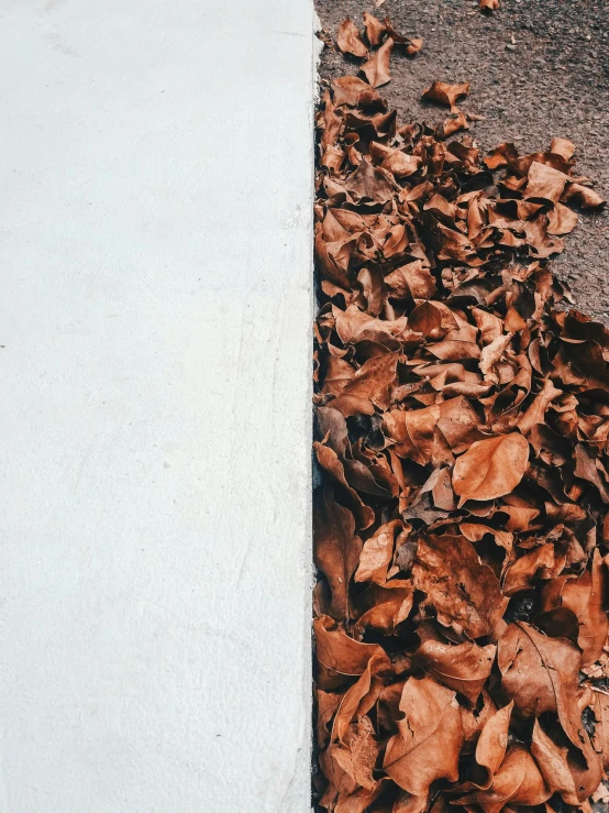 a pile of leaves on the ground next to a curb, an album cover, trending on unsplash, postminimalism, brown and white color scheme, split in half, 15081959 21121991 01012000 4k, iron and asphalt