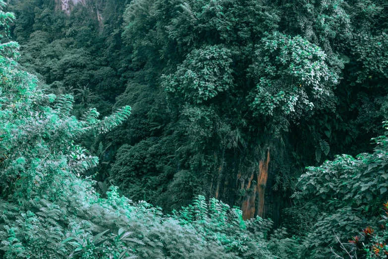 a train traveling through a lush green forest, inspired by Elsa Bleda, sumatraism, overgrown cave, panorama, evan lee, high quality image”