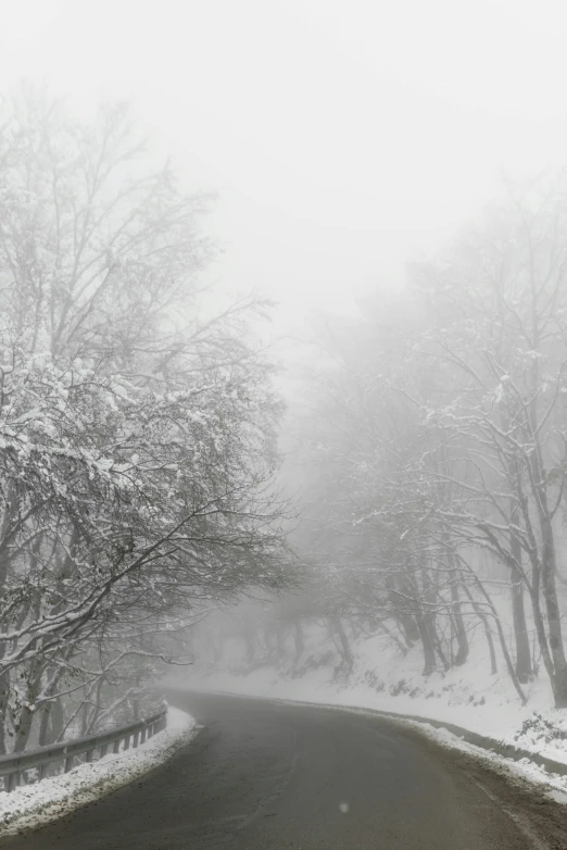 a black and white photo of a snowy road, a black and white photo, by Gusztáv Kelety, romanticism, made of mist, 'silent hill ', colors white!!, 10k