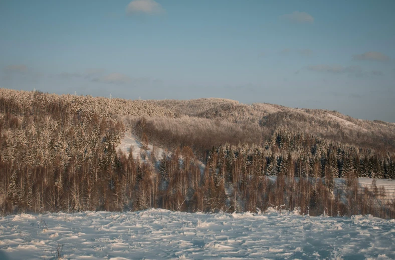 a man riding a snowboard down a snow covered slope, inspired by Einar Hakonarson, pexels contest winner, hurufiyya, overlooking a vast serene forest, birch, in muted colours, view from the lake