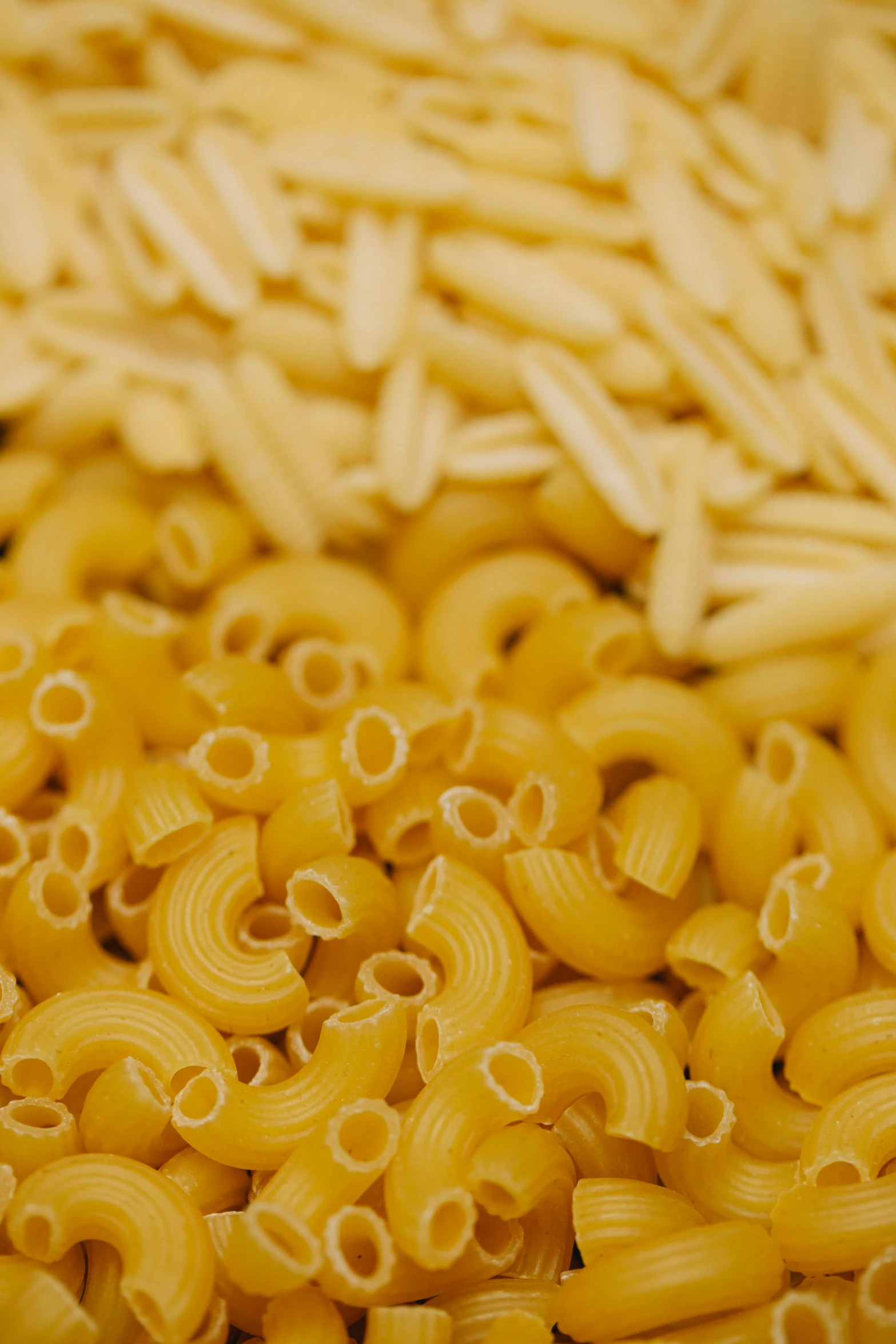 a pile of pasta sitting on top of a table, half image, cheerios, medium detail, various sizes