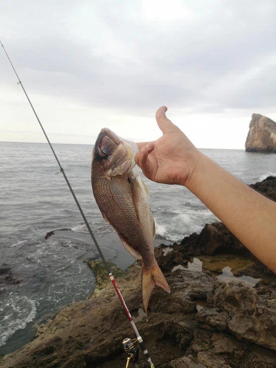 a person holding a fish on a rock near the ocean