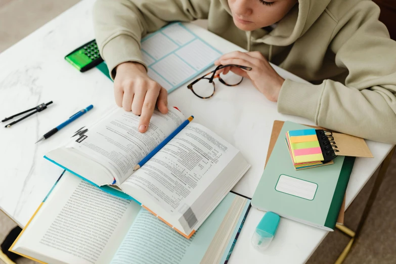 a woman sitting at a table reading a book, pexels contest winner, academic art, teenage boy, textbooks and books, with notes, high angle shot