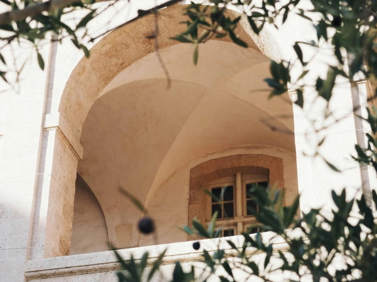 a close up of a window in a building, inspired by Riad Beyrouti, unsplash contest winner, neoclassicism, olive tree, rounded roof, amongst foliage, apulia