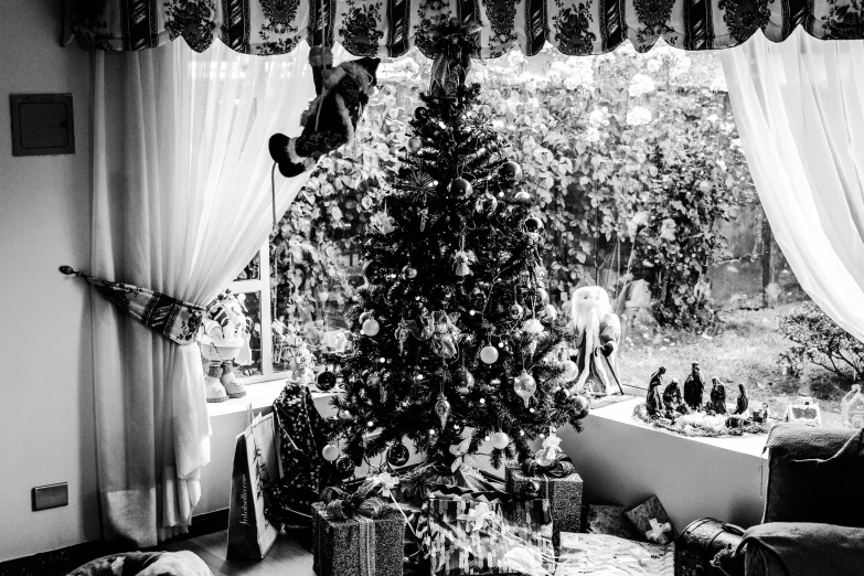 a black and white photo of a christmas tree, by Kristian Zahrtmann, maximalism, 👰 🏇 ❌ 🍃, the room is raucous and joyful, gardening, giving gifts to people