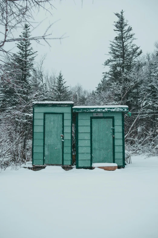 a couple of green portable toilets in the snow, by Elsa Bleda, pexels contest winner, renaissance, boreal forest, well built, grey, poop