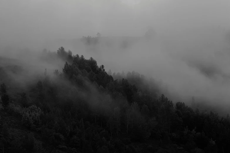 a black and white photo of a foggy mountain, a black and white photo, by Kristian Kreković, pexels contest winner, romanticism, hill with trees, # mist # horror # magic # spell, hillside, early morning