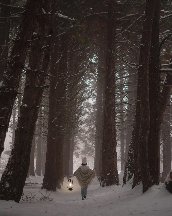 a person walking through a snowy forest holding a lantern, facing away, ((forest)), redwoods, monia merlo