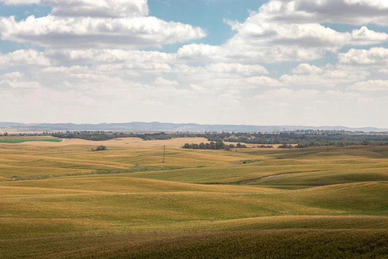 a couple of cows standing on top of a lush green field, by Peter Churcher, pexels contest winner, panorama distant view, “ iron bark, empty wheat field, rippled white landscape