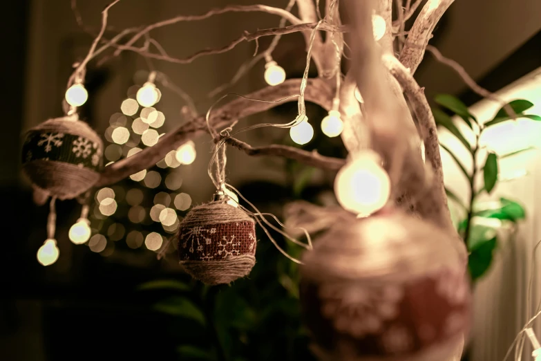 a tree with ornaments hanging from it's branches, pexels contest winner, brown atmospheric lighting, organic ornament, profile image, ivory and copper