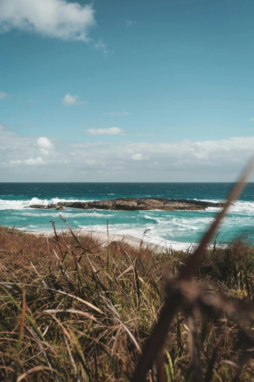 a view of the ocean from the top of a hill, by Niko Henrichon, unsplash, rocky grass field, carribean turquoise water, australia, roaring ocean in front