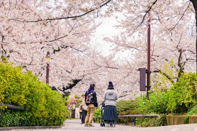 a couple of people that are walking down a path, a picture, trending on unsplash, ukiyo-e, city park with flowers, 🚿🗝📝