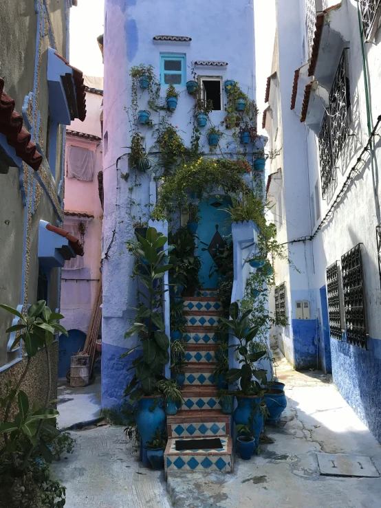 a narrow alley with stairs and potted plants, inspired by Alberto Morrocco, bright blue, colourful biomorphic temple, staggered terraces, photo taken in 2018