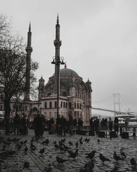 a bunch of birds that are standing in front of a building, by Lucia Peka, pexels contest winner, hurufiyya, mosque, dressed in a gray, mixture turkish and russian, black