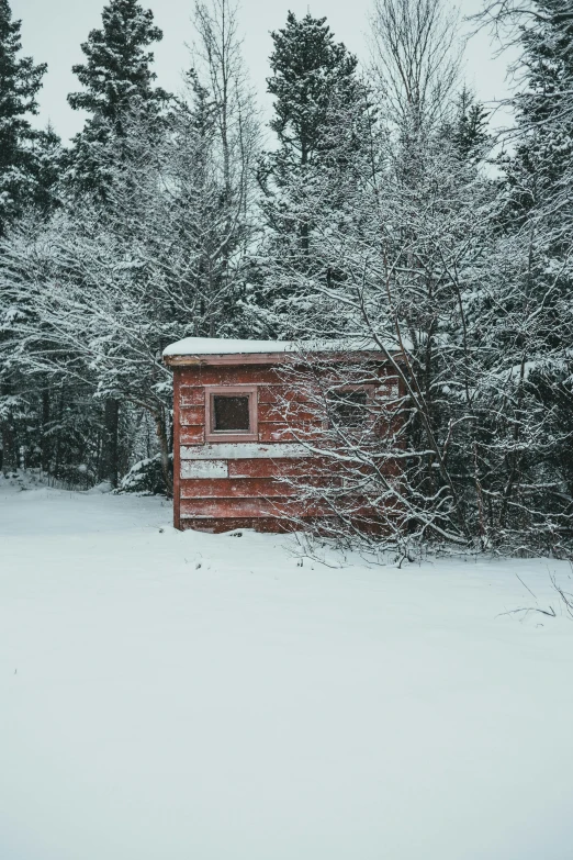 an outhouse in the middle of a snowy forest, a picture, pexels contest winner, red building, alec soth : : love, medium format. soft light, van