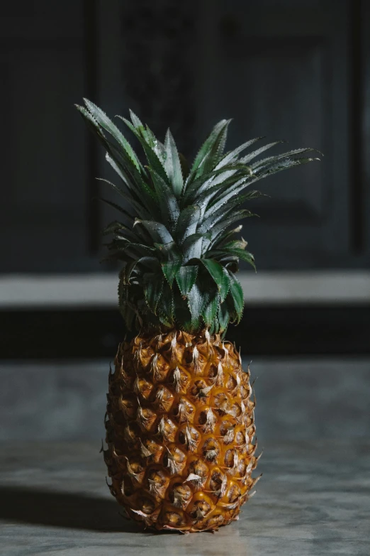 a pineapple sitting on top of a table, medium wide front shot, fan favorite, exterior shot, indoor