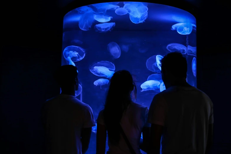 a group of people standing in front of a tank of jellyfish, a hologram, by Julia Pishtar, pexels contest winner, interactive art, blue bioluminescent plastics, profile image, zoo, 🦩🪐🐞👩🏻🦳