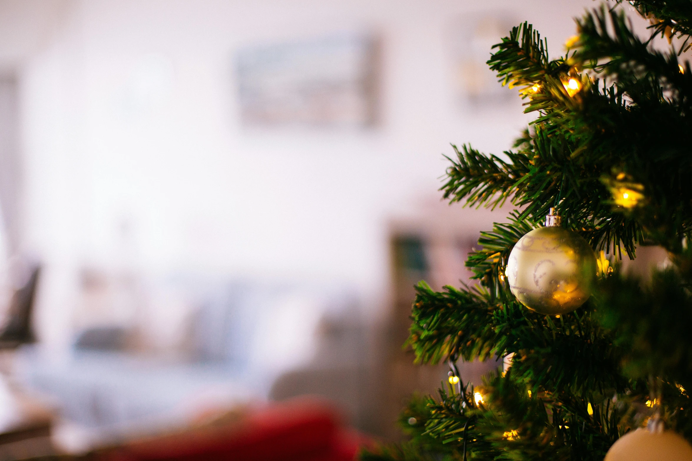 a close up of a christmas tree in a living room, by Julia Pishtar, pexels contest winner, evening sun, plain background, 15081959 21121991 01012000 4k, small depth of field