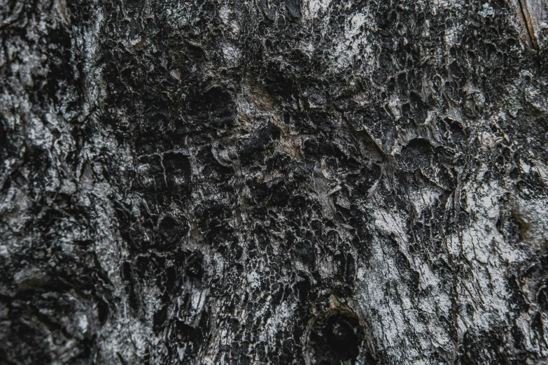 a close up of the bark of a tree, an album cover, by Adam Marczyński, unsplash, abstract expressionism, black stone, background image