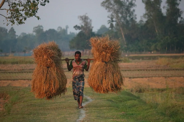 a man carrying two bundles of hay on his back, an album cover, flickr, hurufiyya, single bangla farmer fighting, profile image, a woman walking, alana fletcher