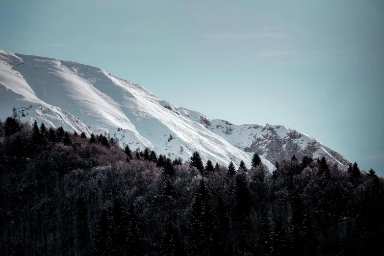 a snow covered mountain with trees in the foreground, inspired by Elsa Bleda, pexels contest winner, les nabis, minimalistic aesthetics, clear blue skies, dark and white