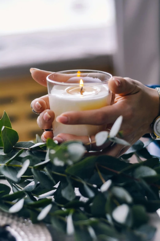 a close up of a person holding a candle, eucalyptus, multiple stories, lush vista, lifestyle