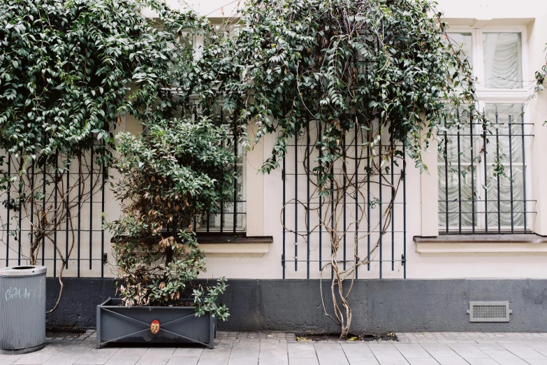 a couple of planters sitting on the side of a building, inspired by Albert Paris Gütersloh, trending on unsplash, large vines, sparse plants, wrought iron, ignant