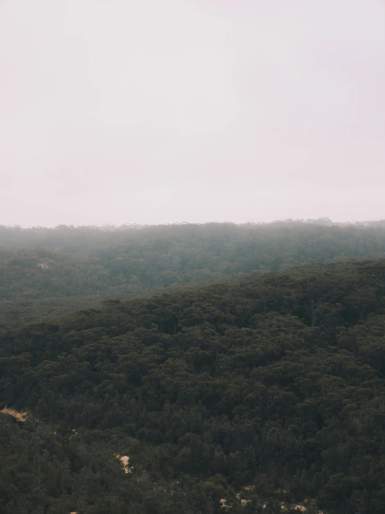 a man flying a kite on top of a lush green hillside, by Jessie Algie, unsplash contest winner, australian tonalism, 4 k cinematic panoramic view, foggy forest, panoramic view of girl, view from helicopter