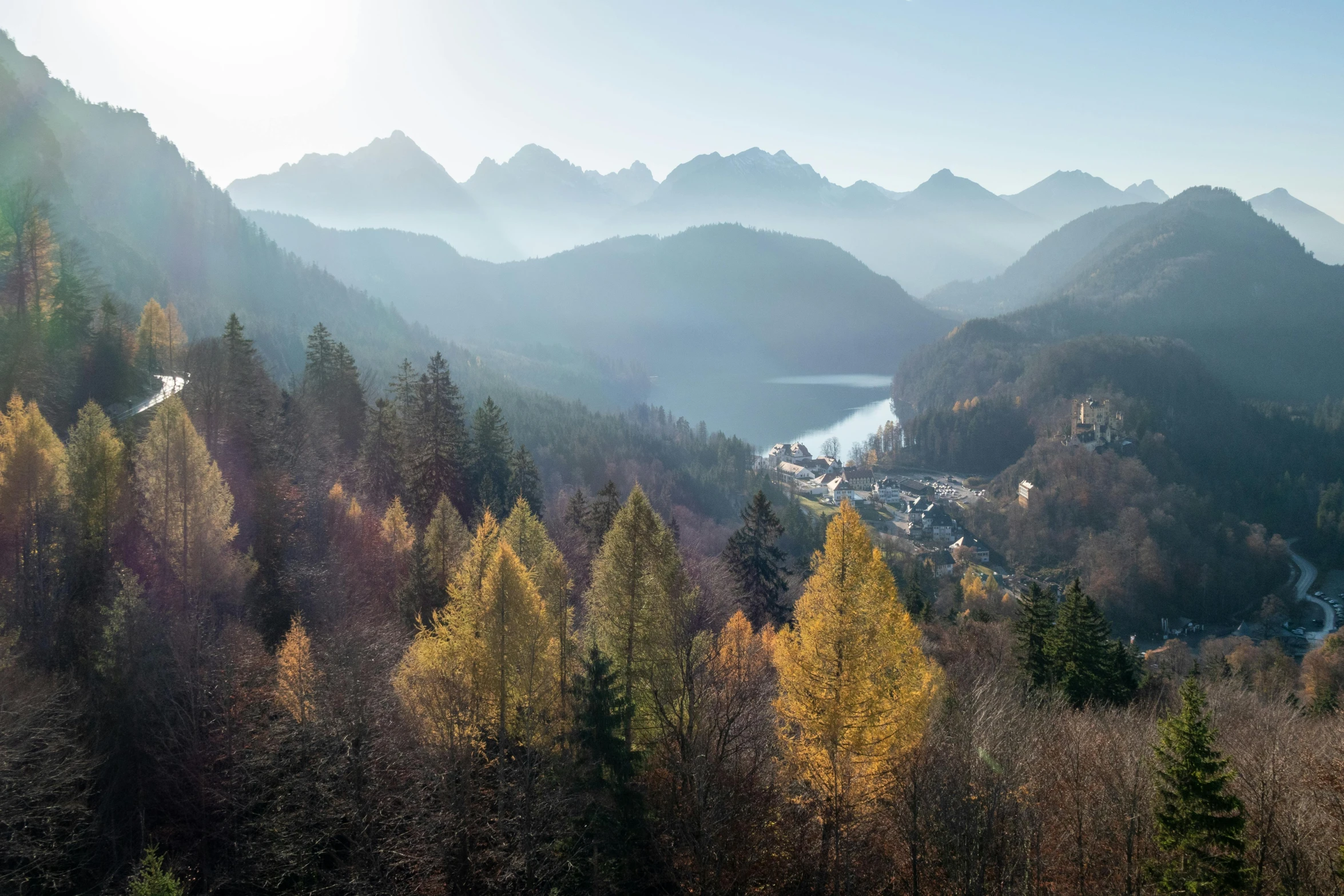 a forest filled with lots of trees next to a lake, by Sebastian Spreng, pexels contest winner, baroque, overlooking a valley with trees, soft morning light, 4 k cinematic panoramic view, peaks