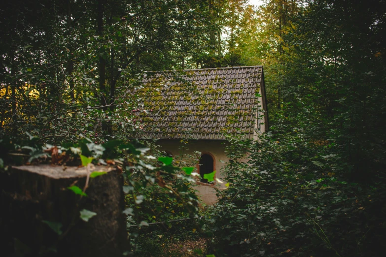 a small house in the middle of a forest, pexels contest winner, renaissance, old gothic crypt, fan favorite, cottage close up, jugendstill