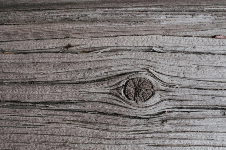 a close up of a piece of wood, by Adam Szentpétery, unsplash, gray canvas, birdseye view, grey, cedar