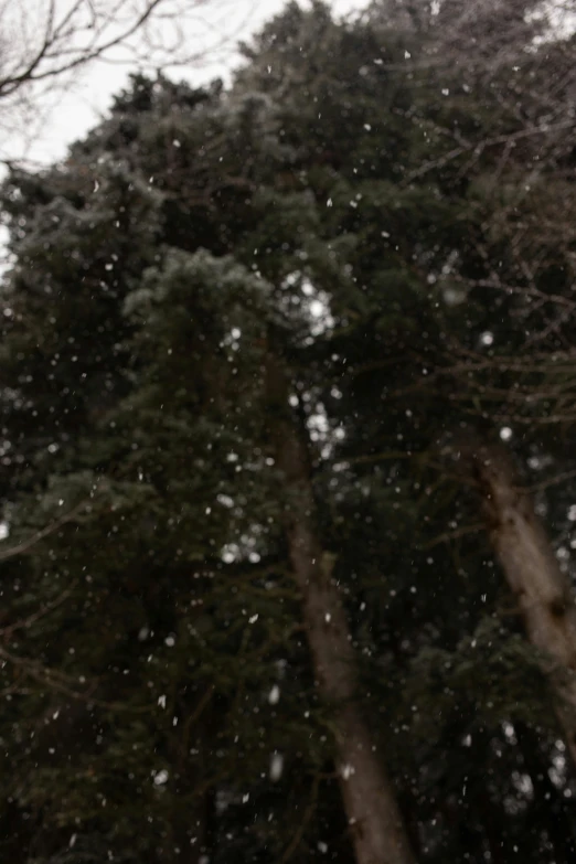 a man riding a snowboard down a snow covered slope, a picture, hurufiyya, ((trees)), rain!!!!, leaked image, 🌲🌌